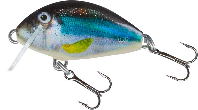 Salmo Tiny 3cm Sinking